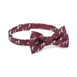 Janie and Jack Frenchie Bulldog Bowtie, 0-24M - NWT